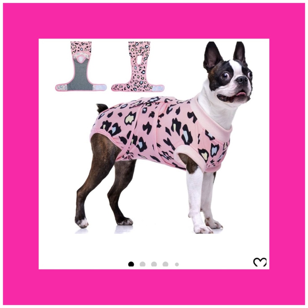 Chaney pet recovery suit.  NWT